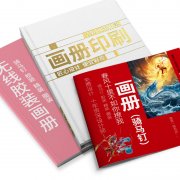 畫冊(cè)說明書印刷定制